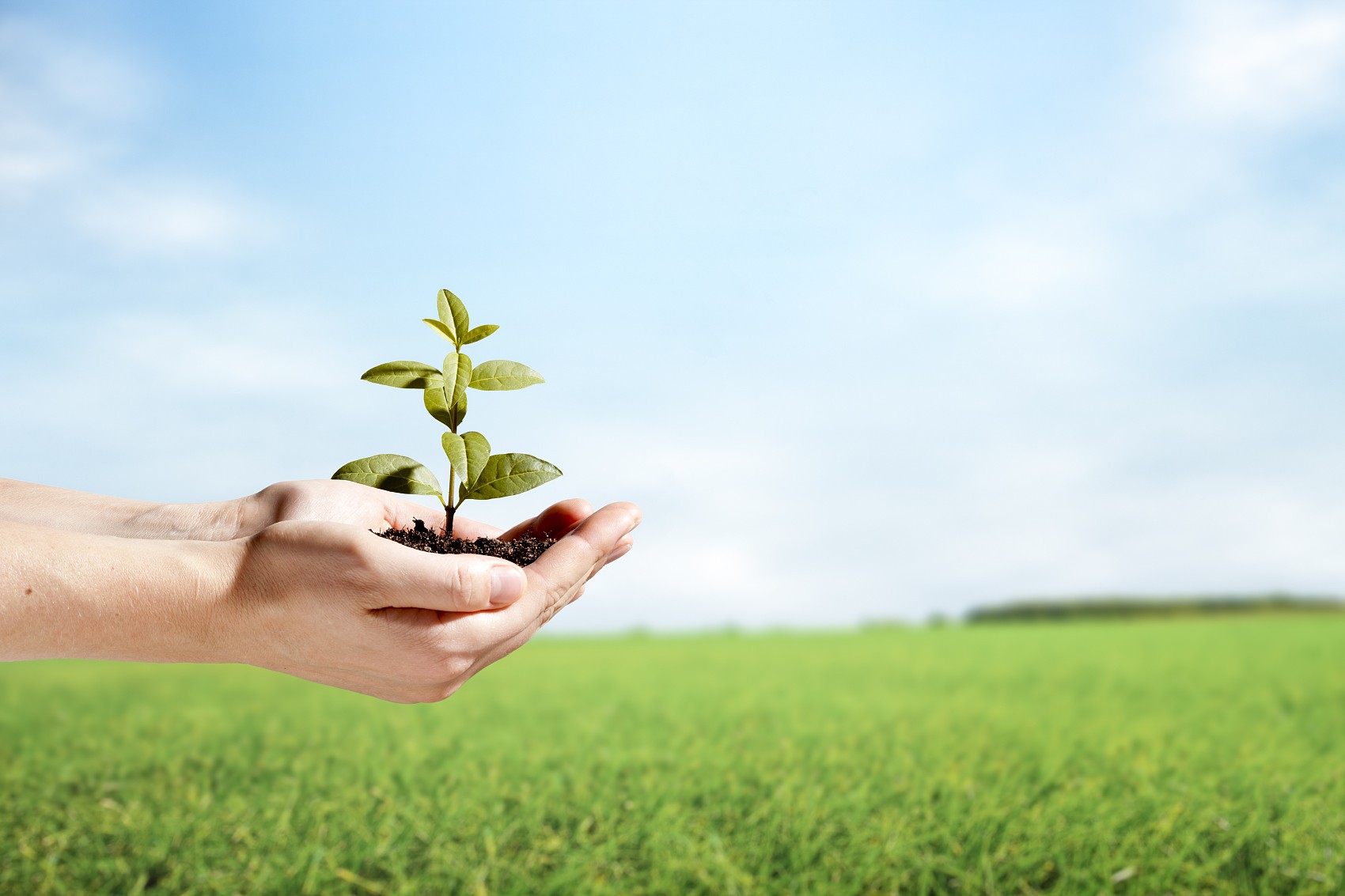 省節(jié)能協(xié)會(huì)袁亮秘書(shū)長(zhǎng)、遂寧檢測(cè)公司戴云峰總經(jīng)理一行蒞臨天晟源環(huán)保座談交流