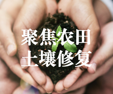 聚焦農(nóng)田土壤修復(fù)，保障糧食產(chǎn)品安全 ——踔厲奮發(fā)、篤行不怠，以?shī)^斗之姿獻(xiàn)禮黨的二十大